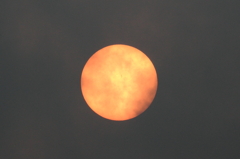 太陽
