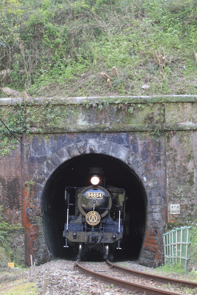 トンネルから、こんにちは