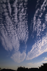 秋の空