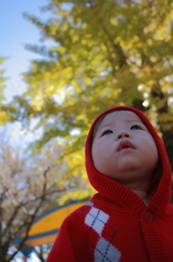 黄昏
