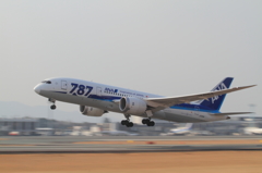 ANA ボーイング 787