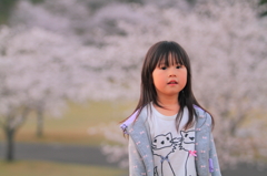 桜の花が香る頃