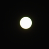 The Transit of Venus