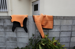 うみんちゅの抜け殻