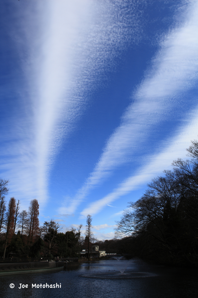 青空、すじ雲