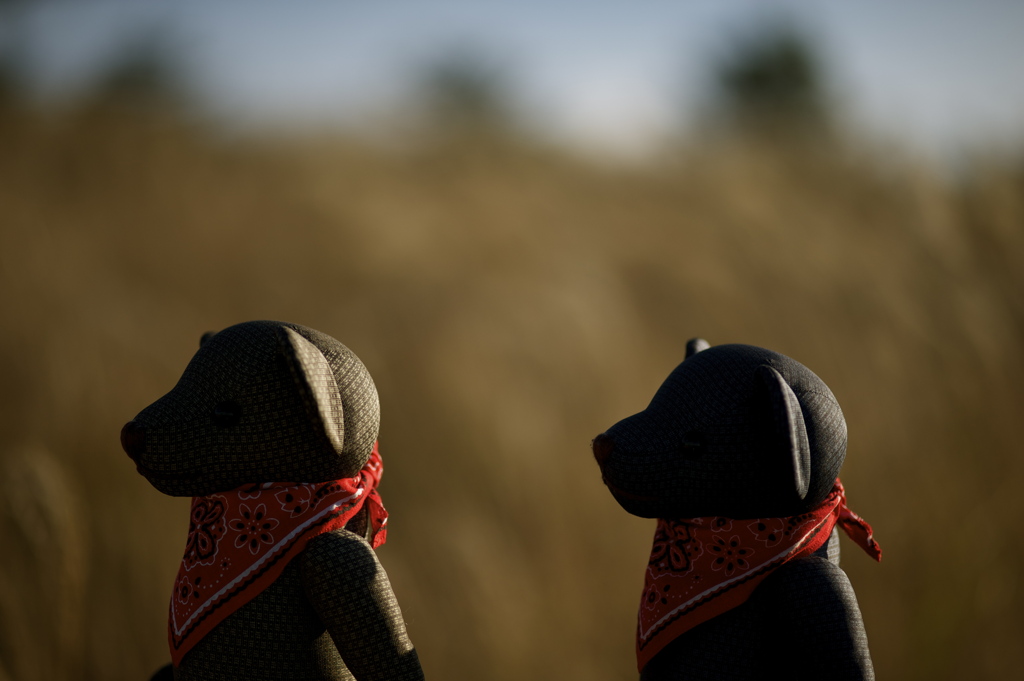 ツムギとコトノハ２３