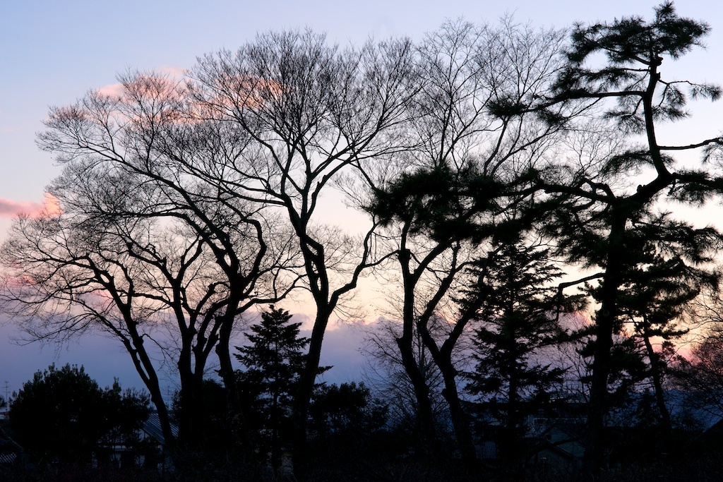 変わらない風景