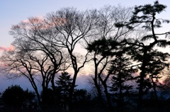変わらない風景