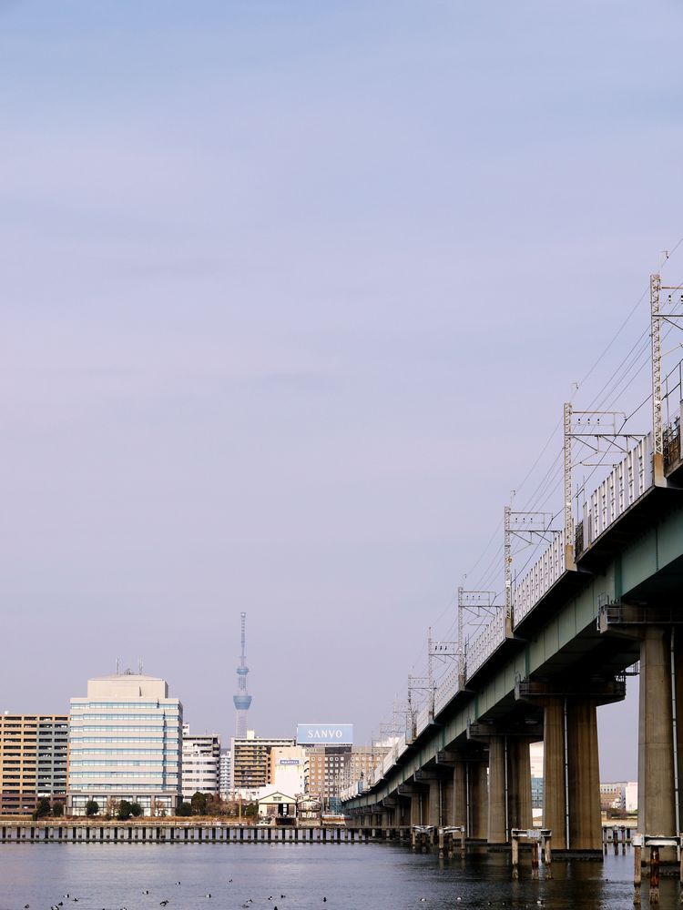 江東区辰巳