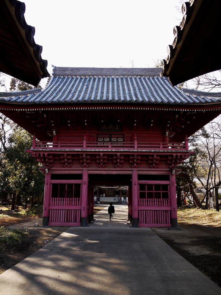 桶川