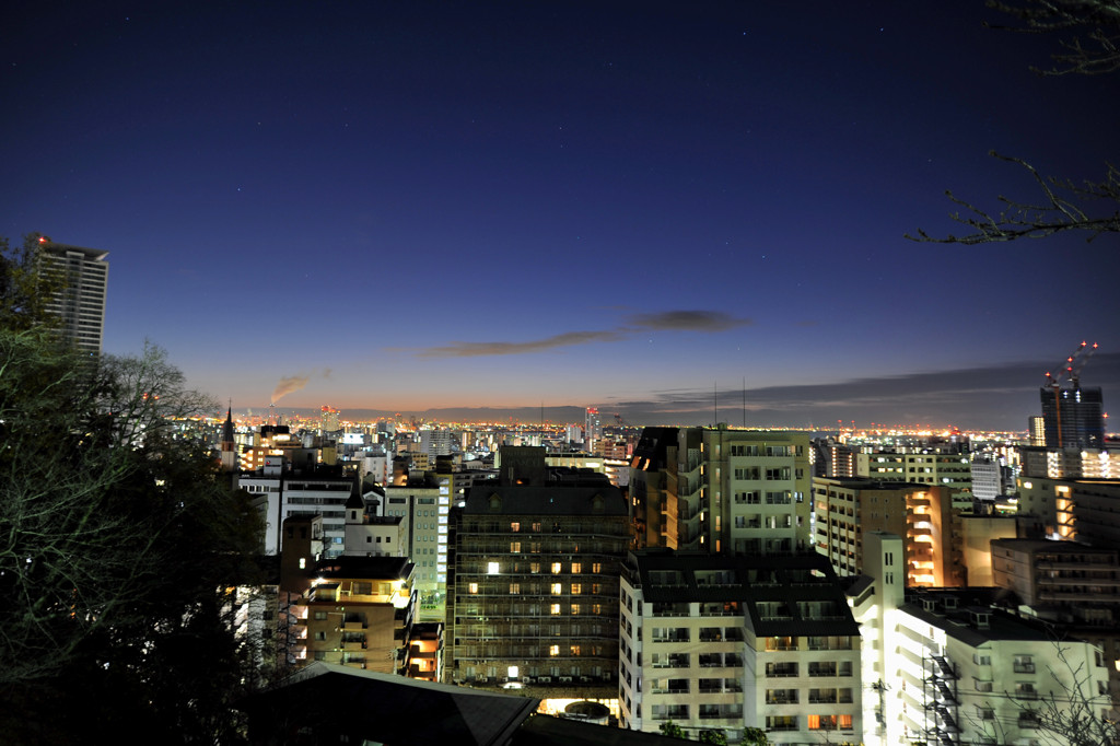 夜明けの歌