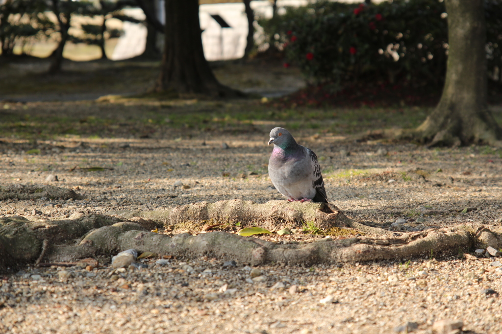 視線の先は