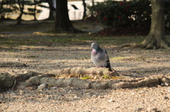 視線の先は