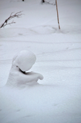 雪になった少女