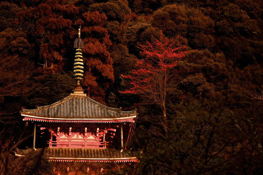 茜差す塔