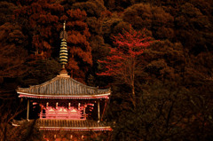 茜差す塔