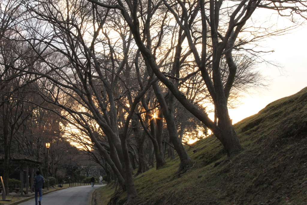 姫路城の散歩道