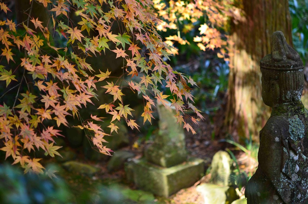 観音さまと紅葉