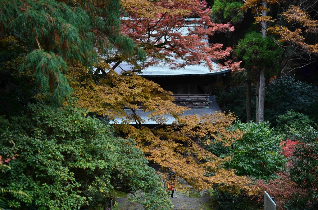 楼門