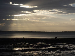 God Rays, families