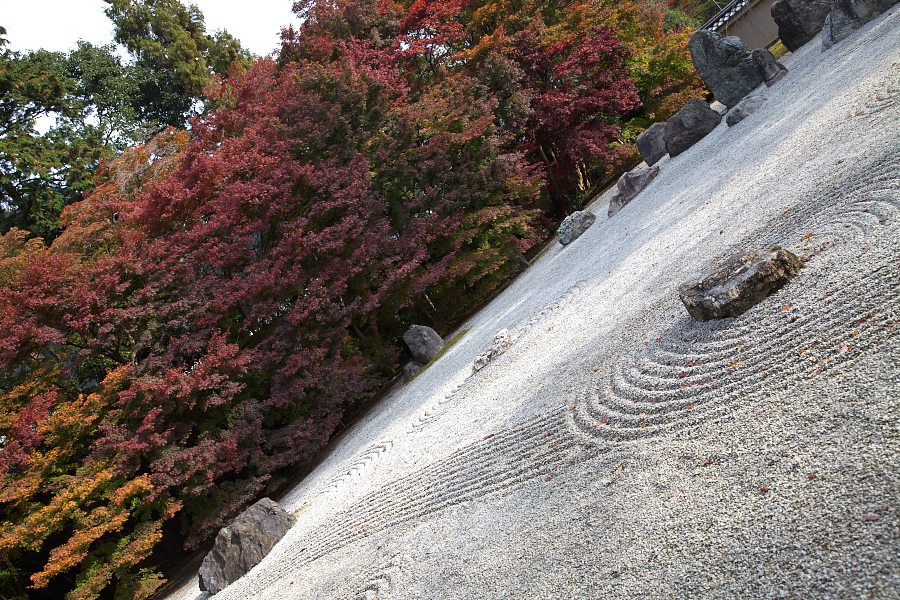 紅葉と枯山水