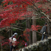 紅葉の山