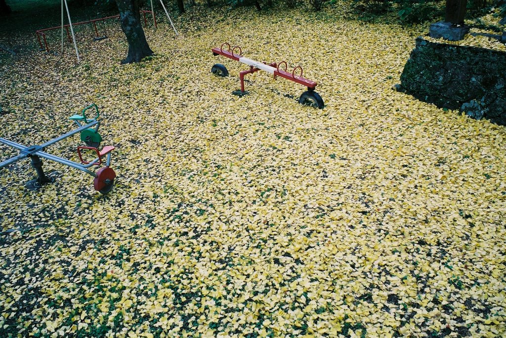 黄色い公園