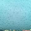 winter dot