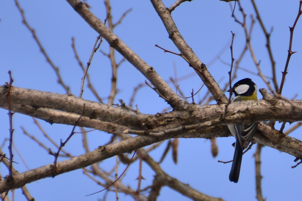 ただいま偵察中！？