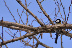 ただいま偵察中！？