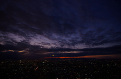 Tokyo night