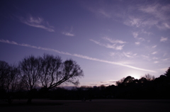 ヒコーキ雲