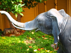 PB2718691　elephant
