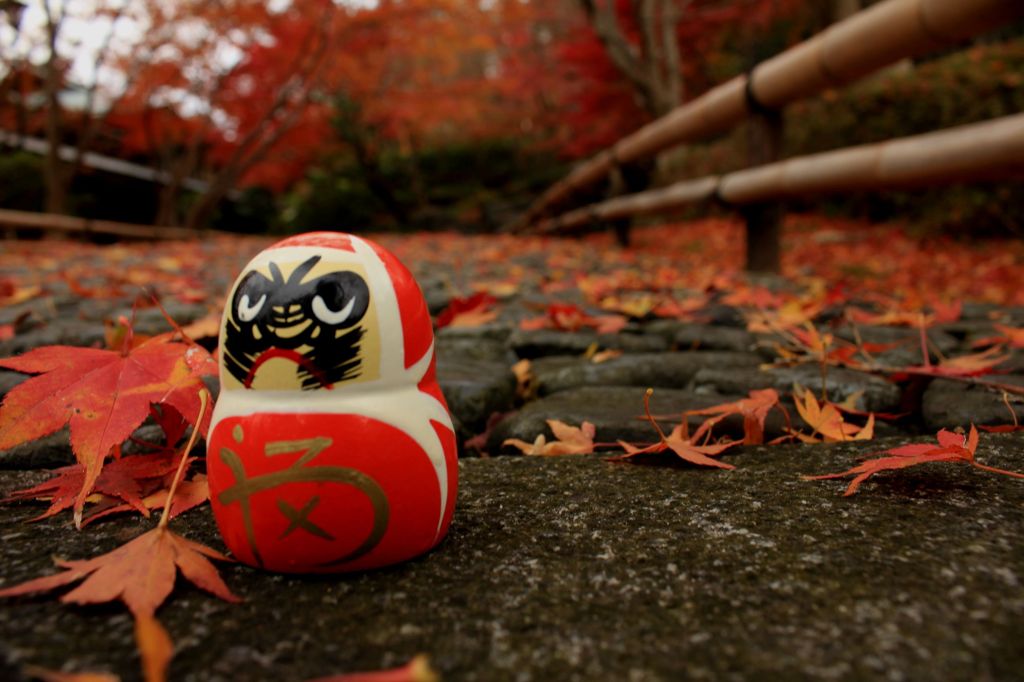 紅葉×だるま