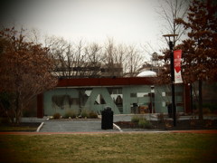 THE CAFE!!!