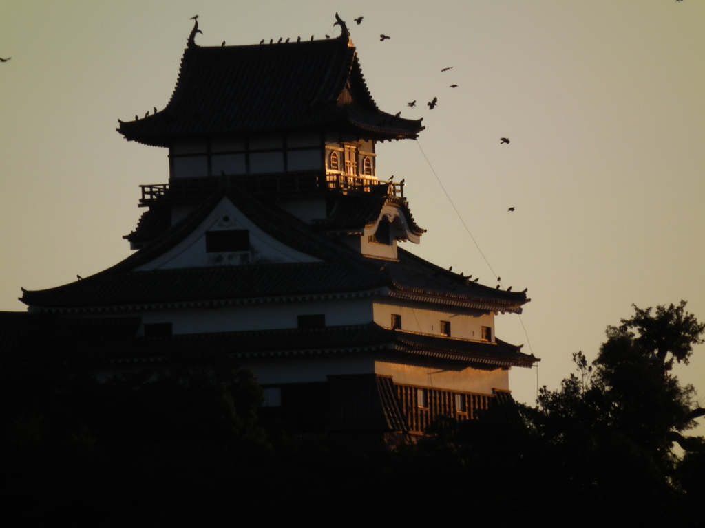 夕景を望む天守閣