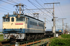 EF65-1079 貨物列車