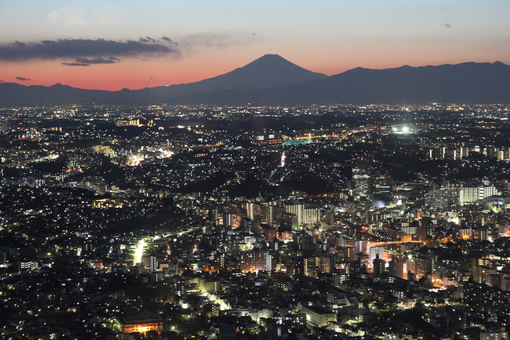 ランドマークタワーからの夜景1