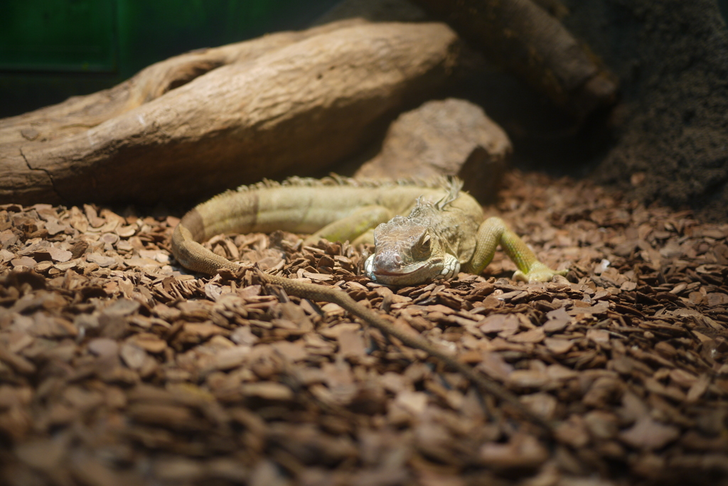 何見てるんだよ・・・