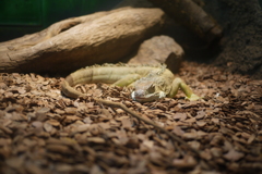 何見てるんだよ・・・