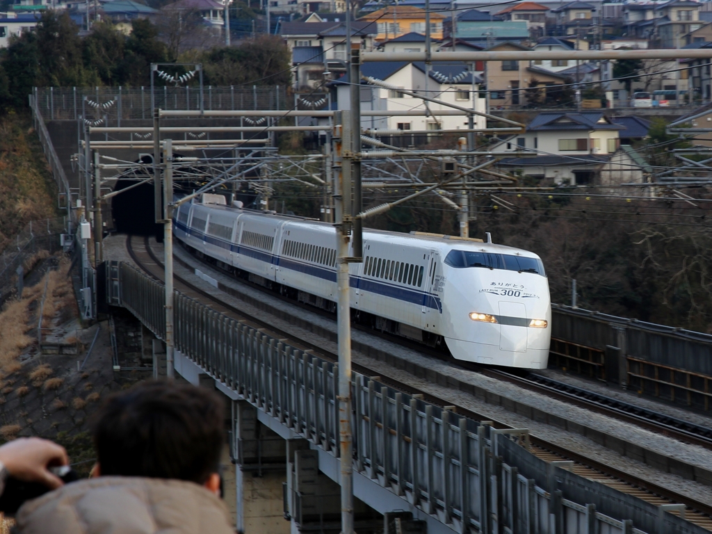 300系 車体装飾