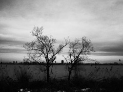 R0011414