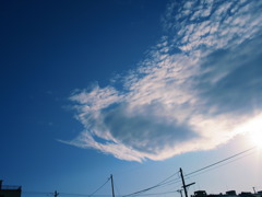 R0011186