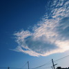 R0011186