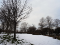 R0011388