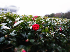 R0011420