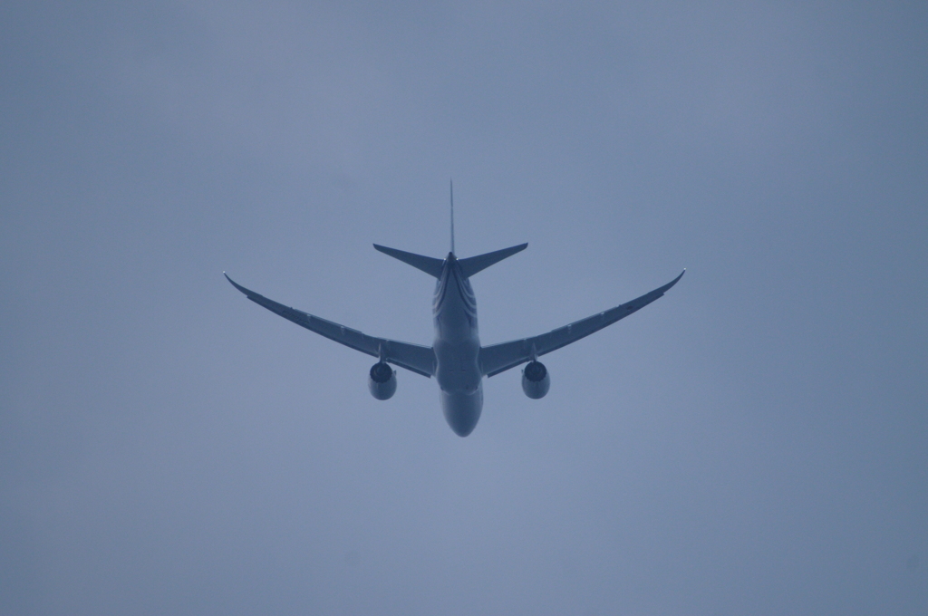 ７８７！
