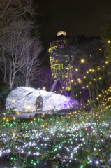 イルミネーションと展望台