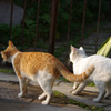 Friend.