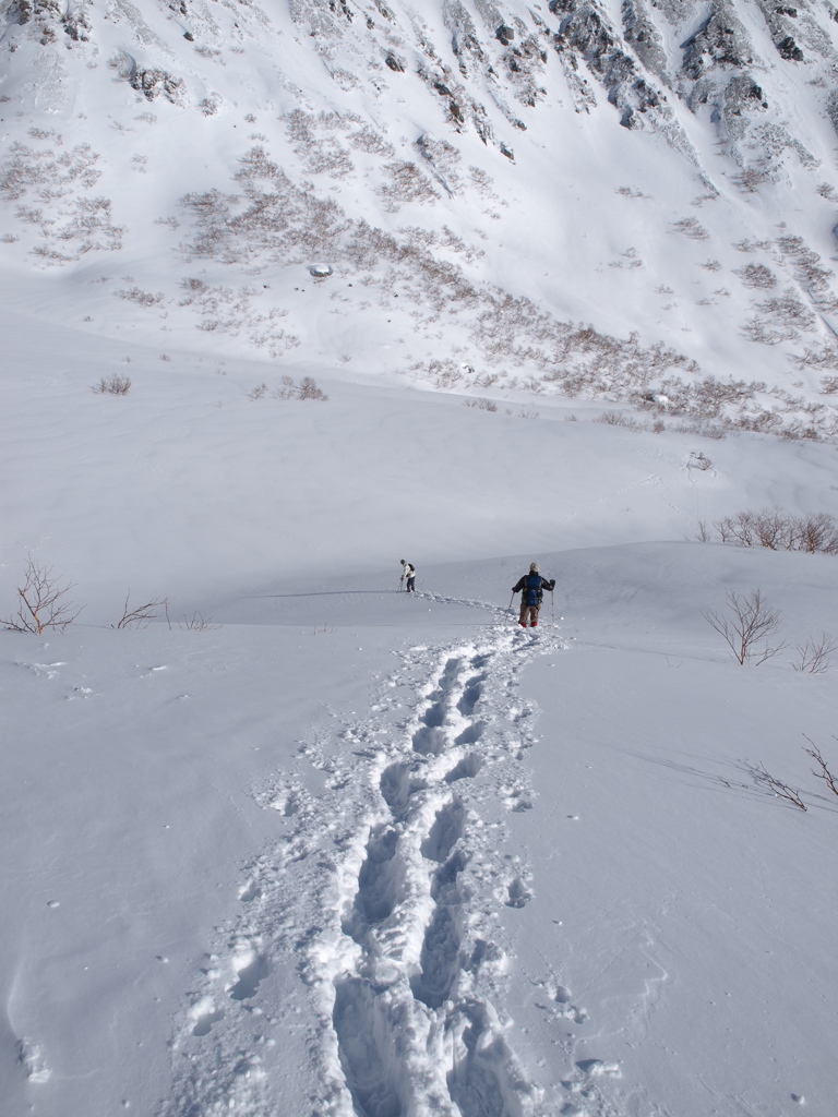 バージン・スノー
